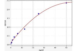 DSPP ELISA 试剂盒