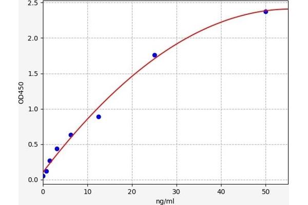 DSPP ELISA 试剂盒