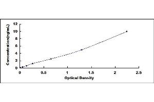 Typical standard curve (SNAIL ELISA 试剂盒)