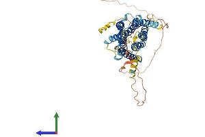Protein Structure (PS) image for G Protein-Coupled Receptor 150 (GPR150) (AA 1-427) protein (His tag) (ABIN7558730)