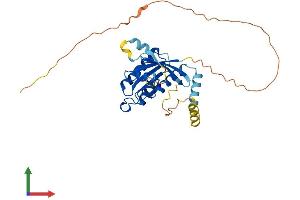 Protein Structure (PS) image for GTP Binding Protein Overexpressed in Skeletal Muscle (GEM) (AA 1-296) protein (His tag) (ABIN7547940)