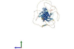 Protein Structure (PS) image for SLIT-ROBO rho GTPase Activating Protein 3 (SRGAP3) (AA 1-1099) protein (His tag) (ABIN7564321)