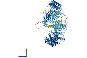 Protein Structure (PS) image for PRP6 Pre-mRNA Processing Factor 6 Homolog (PRPF6) (AA 1-941) protein (His tag) (ABIN7555064)