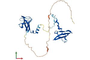 Protein Structure (PS) image for Protein Kinase, AMP-Activated, beta 2 Non-Catalytic Subunit (PRKAB2) (AA 1-271) protein (His tag) (ABIN7558027)