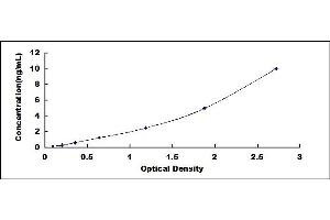 Typical standard curve (JUP ELISA 试剂盒)