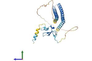 AlphaFold protein structure predicition of Mouse Recombinant Ing1 Protein, UniprotID Q9QXV3