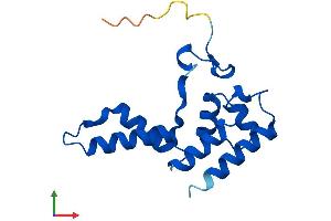 Protein Structure (PS) image for Polymerase (RNA) II (DNA Directed) Polypeptide D (POLR2D) (AA 1-142) protein (His tag) (ABIN7551535)