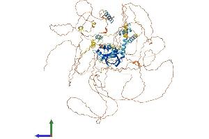 Protein Structure (PS) image for MIS18 Binding Protein 1 (MIS18BP1) (AA 1-1132) protein (His tag) (ABIN7554445)