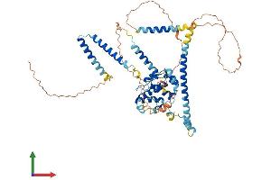Protein Structure (PS) image for Coiled-Coil Domain Containing 60 (CCDC60) (AA 1-550) protein (His tag) (ABIN7553045)