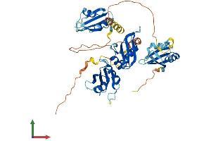 Protein Structure (PS) image for RNA Binding Motif Protein 45 (RBM45) (AA 1-476) protein (His tag) (ABIN7551215)