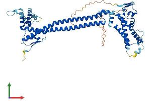 Protein Structure (PS) image for CDK5 Regulatory Subunit Associated Protein 3 (CDK5RAP3) (AA 1-503) protein (His tag) (ABIN7564896)