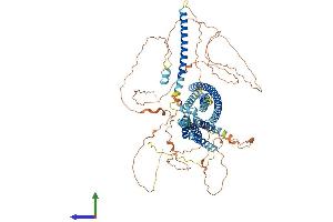 AlphaFold protein structure predicition of Mouse Recombinant Disc1 Protein, UniprotID Q811T9