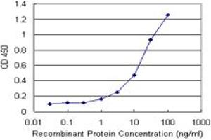 Sandwich ELISA detection sensitivity ranging from 3 ng/mL to 100 ng/mL. (SCGN (人) Matched Antibody Pair)