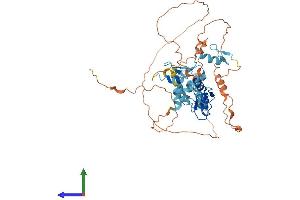 Protein Structure (PS) image for Zinc Finger Protein 500 (ZNF500) (AA 1-480) protein (His tag) (ABIN7545558)