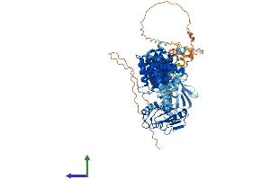 Protein Structure (PS) image for C-Maf Inducing Protein (CMIP) (AA 1-773) protein (His tag) (ABIN7560975)