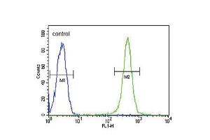 Flow cytometric analysis of Ramos cells (right histogram) compared to a negative control cell (left histogram). (GPI 抗体  (C-Term))