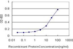 Detection limit for recombinant GST tagged TMEM115 is approximately 1ng/ml as a capture antibody. (TMEM115 抗体  (AA 1-351))