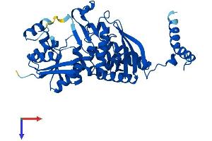 ASS1 Protein (AA 1-412) (His tag)