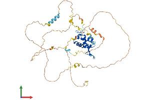 AlphaFold protein structure predicition of Mouse Recombinant Foxj1 Protein, UniprotID Q61660
