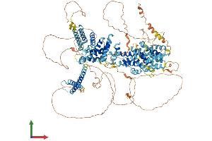 Protein Structure (PS) image for Sterol Regulatory Element Binding Transcription Factor 1 (SREBF1) (AA 1-1147) protein (His tag) (ABIN7555626)