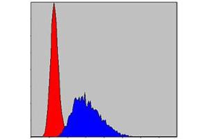 Flow cytometric analysis of NIH/3T3 cells using CASP8 monoclonal antibody, clone 1H11  (blue) and negative control (red). (Caspase 8 抗体)