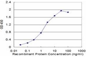 Detection limit for recombinant GST tagged GATA3 is approximately 0. (GATA3 抗体  (AA 103-200))
