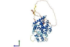 AlphaFold protein structure predicition of Human Recombinant NR5A1 Protein, UniprotID Q13285