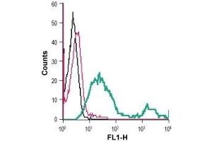Flow Cytometry (FACS) image for anti-Solute Carrier Family 2 (Facilitated Glucose Transporter), Member 1 (SLC2A1) (AA 41-55), (Extracellular) antibody (FITC) (ABIN7043693)