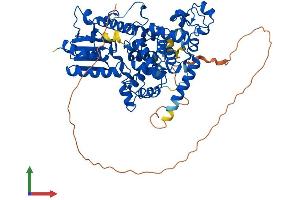 Protein Structure (PS) image for Cryptochrome 1 (Photolyase-Like) (CRY1) (AA 1-606) protein (His tag) (ABIN7563564)