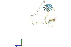 AlphaFold protein structure predicition of Human Recombinant SRSF7 Protein, UniprotID Q16629