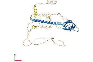 AlphaFold protein structure predicition of Human Recombinant CYTIP Protein, UniprotID O60759