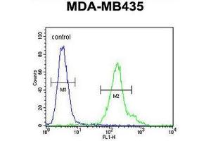 Flow Cytometry (FACS) image for anti-Chromosome 21 Open Reading Frame 2 (C21orf2) (AA 172-202), (C-Term) antibody (ABIN950879)