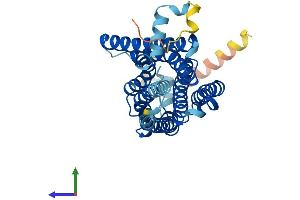 AlphaFold protein structure predicition of Human Recombinant TAAR2 Protein, UniprotID Q9P1P5
