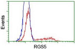 Image no. 2 for anti-Regulator of G-Protein Signaling 5 (RGS5) (AA 1-181) antibody (ABIN1490600) (RGS5 抗体  (AA 1-181))