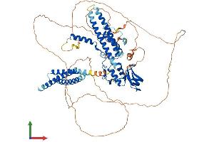 Protein Structure (PS) image for CCR4-NOT Transcription Complex, Subunit 3 (CNOT3) (AA 1-751) protein (His tag) (ABIN7564618)