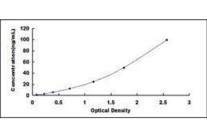 Typical standard curve (beta Actin ELISA 试剂盒)