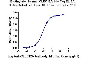 ELISA image for C-Type Lectin Domain Family 12, Member A (CLEC12A) (AA 65-265) protein (His-Avi Tag,Biotin) (ABIN7274358)
