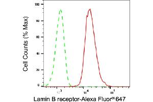 Flow cytometric analysis of Lamin B receptor expression in HAP-1 cells using Lamin B receptor antibody (ABIN7799230), 1:2,000). (Recombinant Lamin B Receptor 抗体)