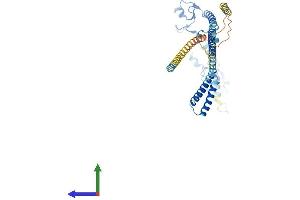 Protein Structure (PS) image for Tripartite Motif Containing 13 (TRIM13) (AA 1-407) protein (His tag) (ABIN7560750)
