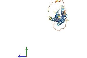 Protein Structure (PS) image for Calcium Channel, Voltage-Dependent, gamma Subunit 5 (CACNG5) (AA 1-275) protein (His tag) (ABIN7559938)