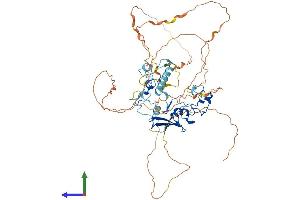 Protein Structure (PS) image for Methyl-CpG Binding Domain Protein 1 (MBD1) (AA 1-605) protein (His tag) (ABIN7554471)