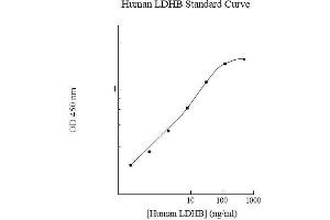 Image no. 1 for Lactate Dehydrogenase B (LDHB) ELISA Kit (ABIN5564579) (LDHB ELISA 试剂盒)