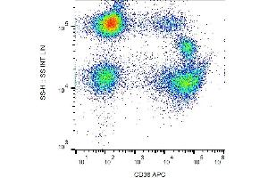 Surface staining of human peripheral blood with anti-CD36 (TR9) APC. (CD36 抗体  (APC))
