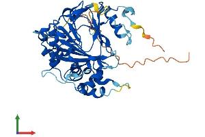 Protein Structure (PS) image for AlkB, Alkylation Repair Homolog 1 (ALKBH1) (AA 1-389) protein (His tag) (ABIN7552018)