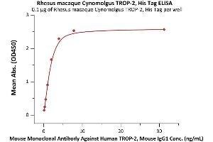 ELISA image for Tumor-Associated Calcium Signal Transducer 2 (TACSTD2) (AA 31-274) protein (His tag) (ABIN7013652)
