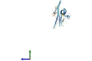 Protein Structure (PS) image for Ring Finger Protein 20 (RNF20) (AA 1-973) protein (His tag) (ABIN7563805)