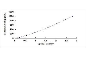 Typical standard curve (FGF15 ELISA 试剂盒)