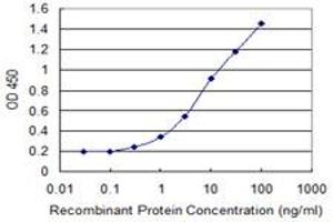 Detection limit for recombinant GST tagged DEPDC7 is 0. (DEPDC7 抗体  (AA 393-499))