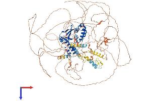 OTUD4 Protein (AA 1-1107) (His tag)