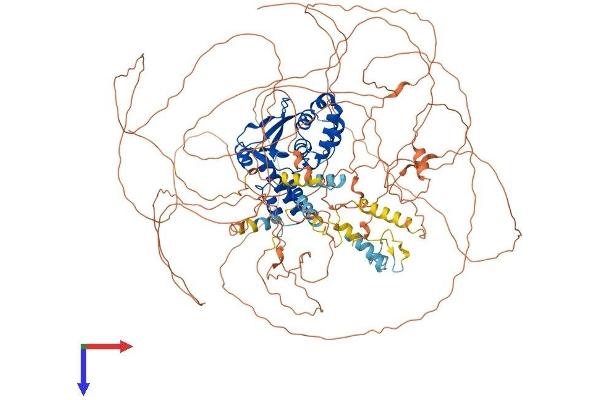 OTUD4 Protein (AA 1-1107) (His tag)
